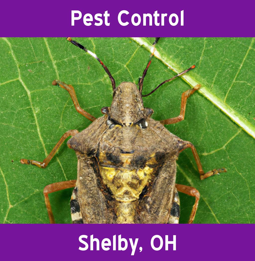 pest control in Shelby Ohio