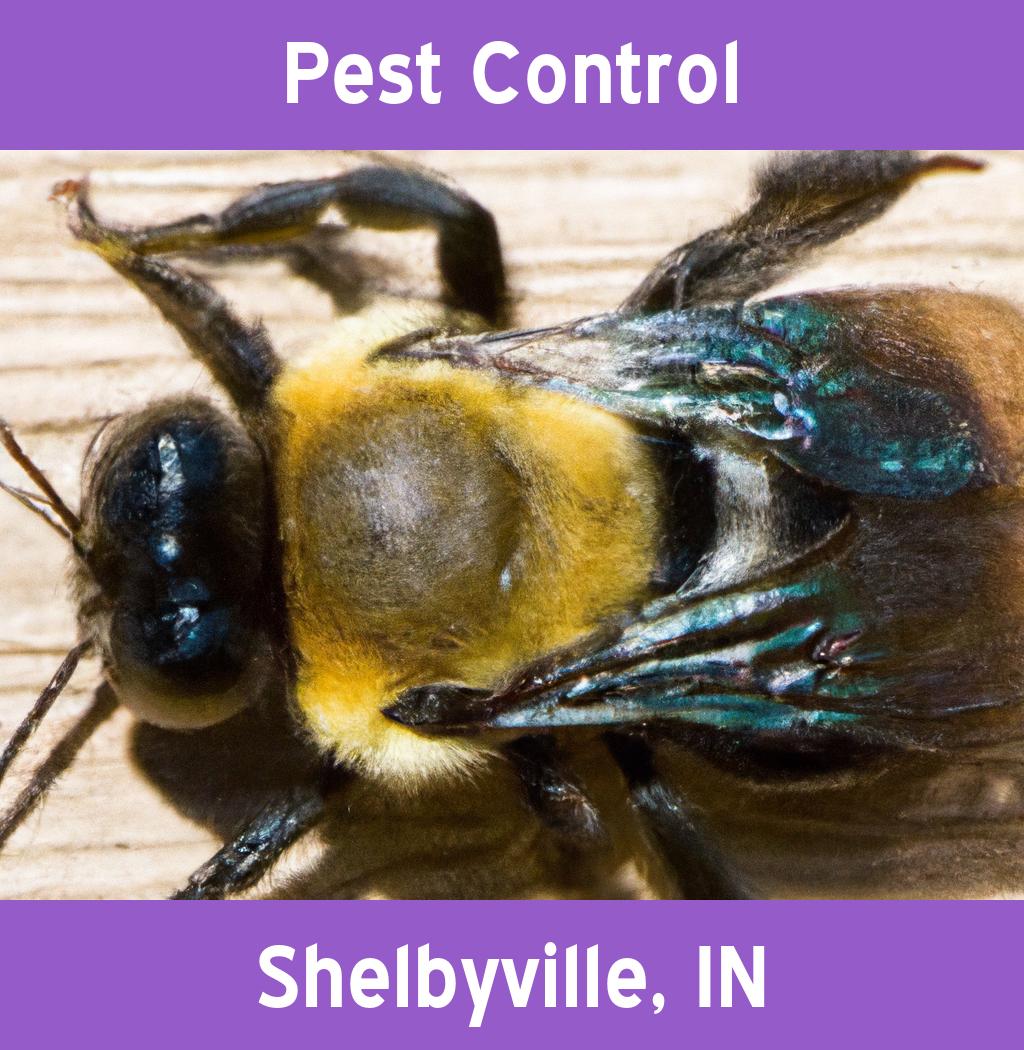 pest control in Shelbyville Indiana