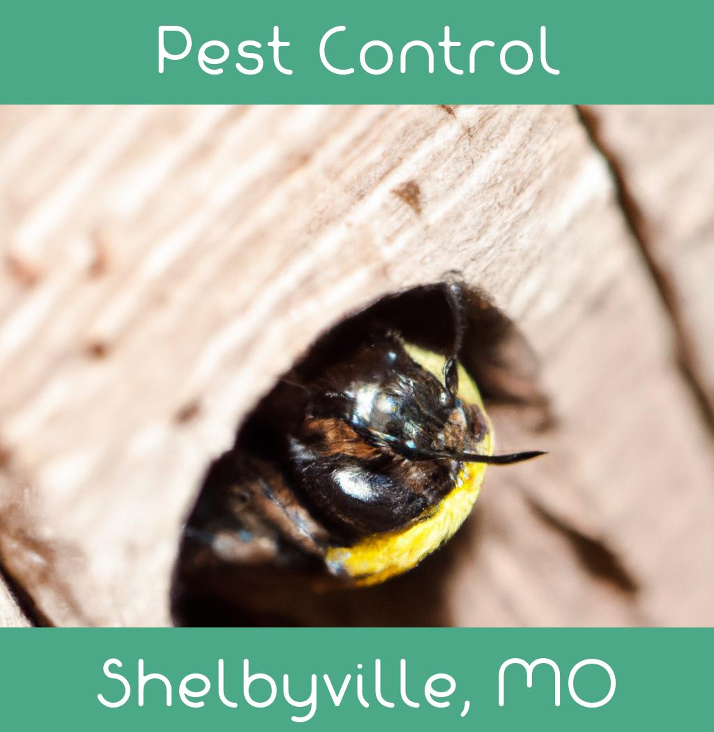 pest control in Shelbyville Missouri
