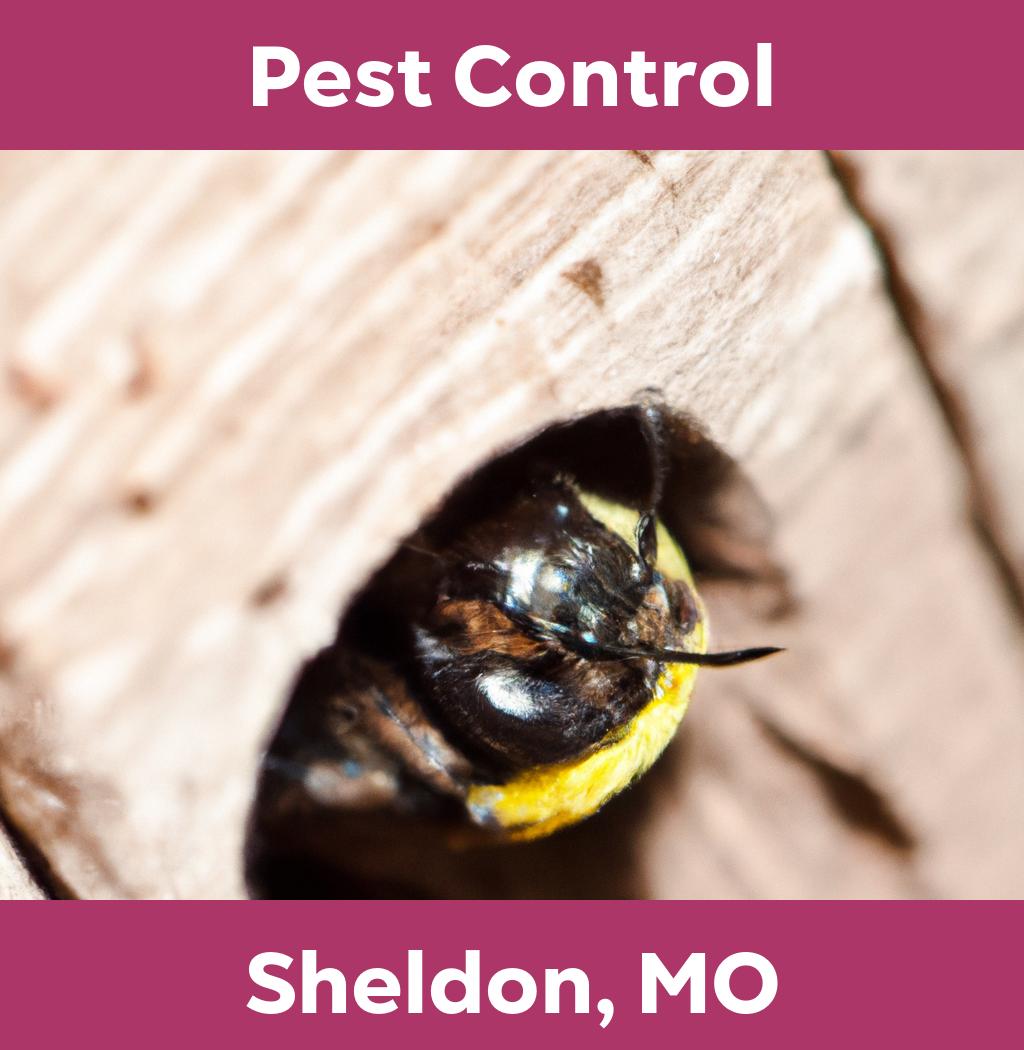 pest control in Sheldon Missouri