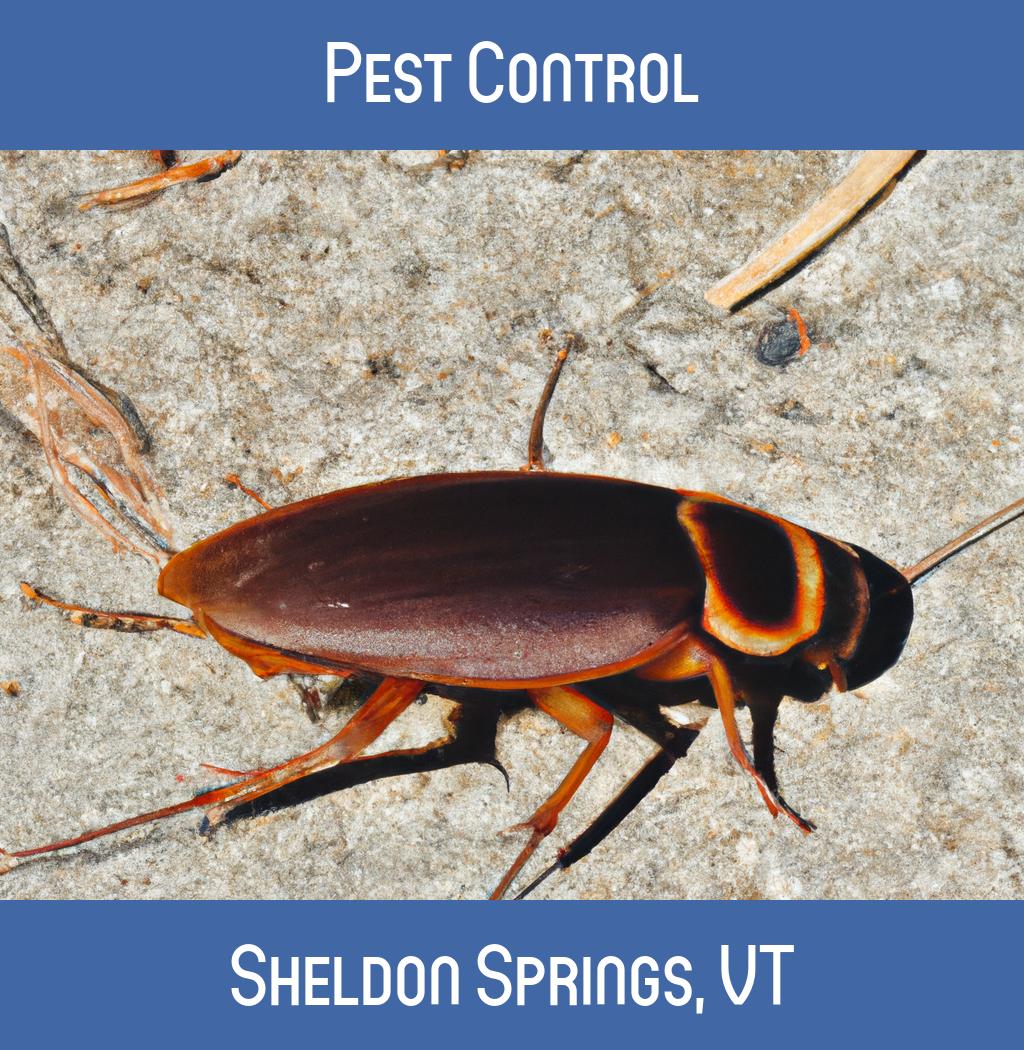 pest control in Sheldon Springs Vermont