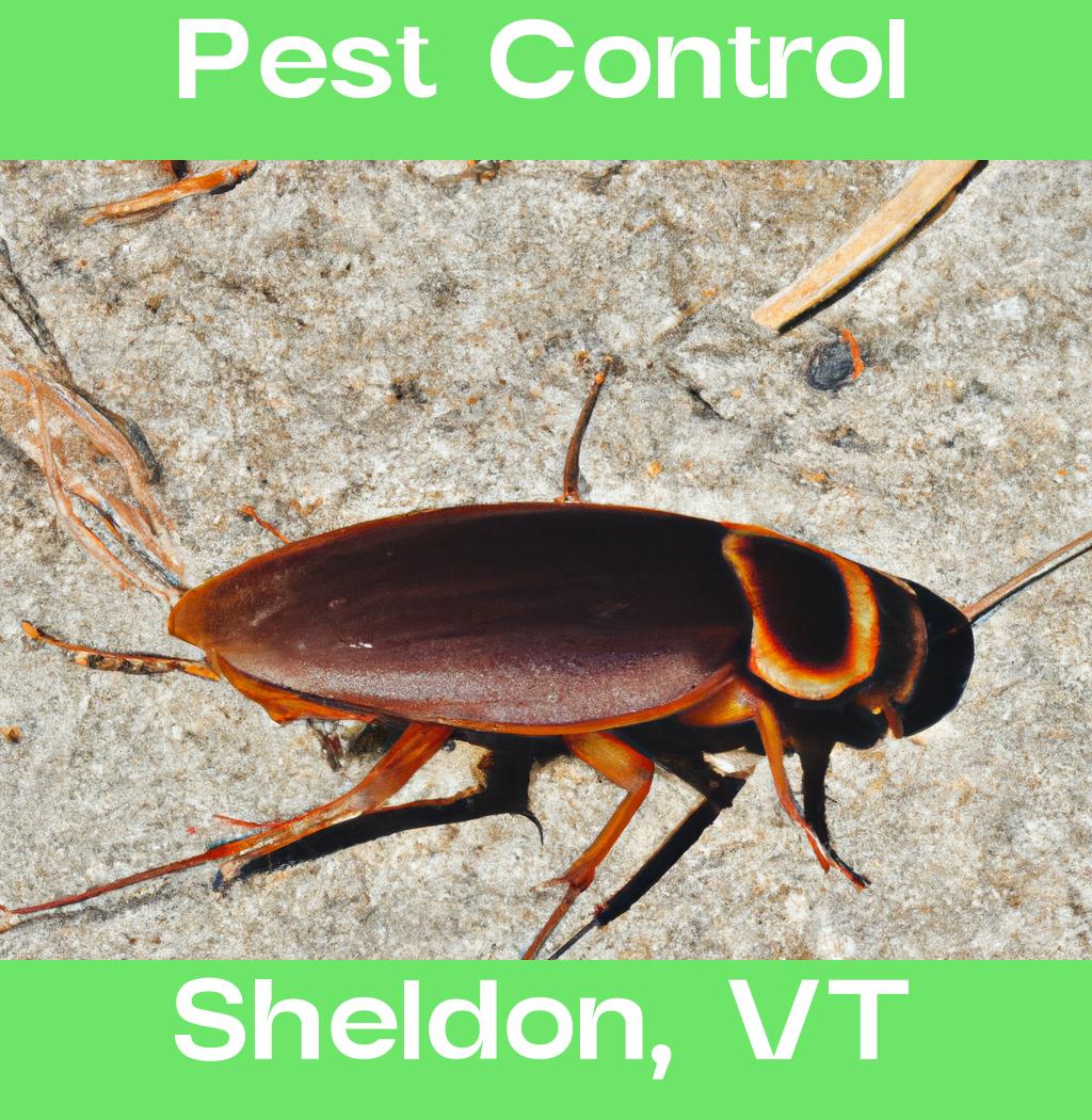 pest control in Sheldon Vermont
