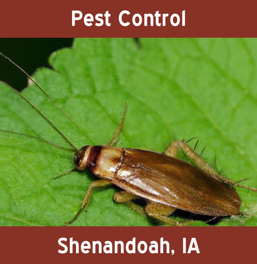 pest control in Shenandoah Iowa