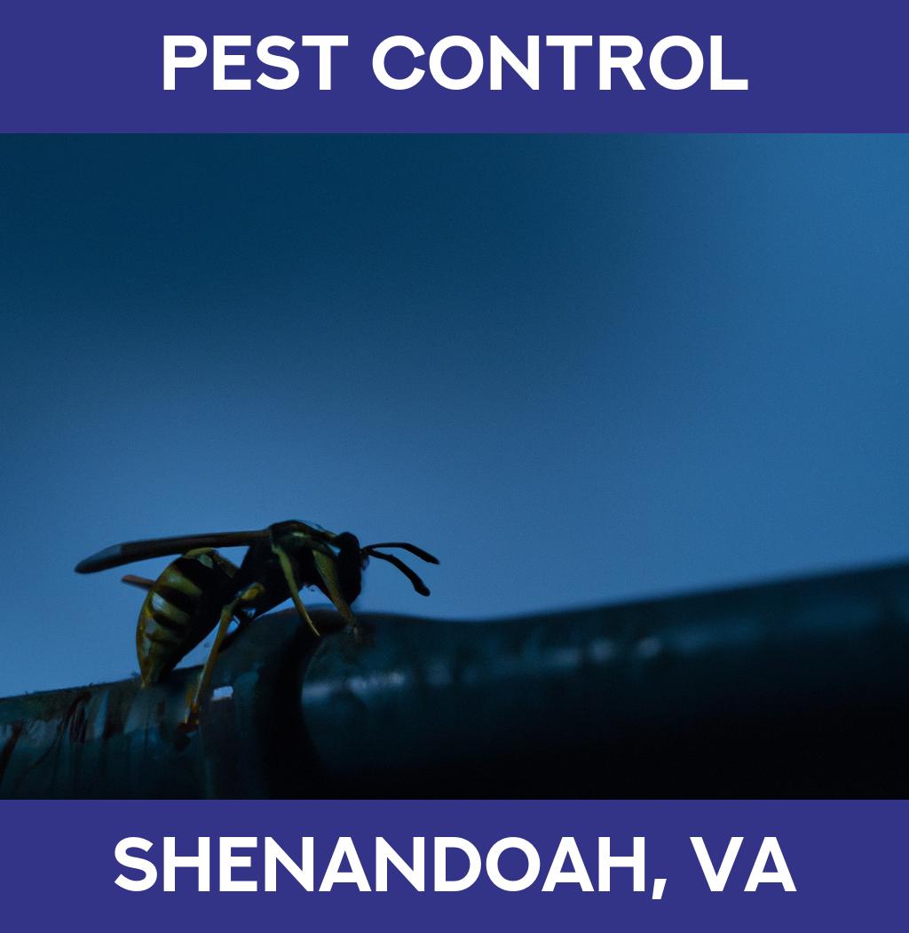 pest control in Shenandoah Virginia