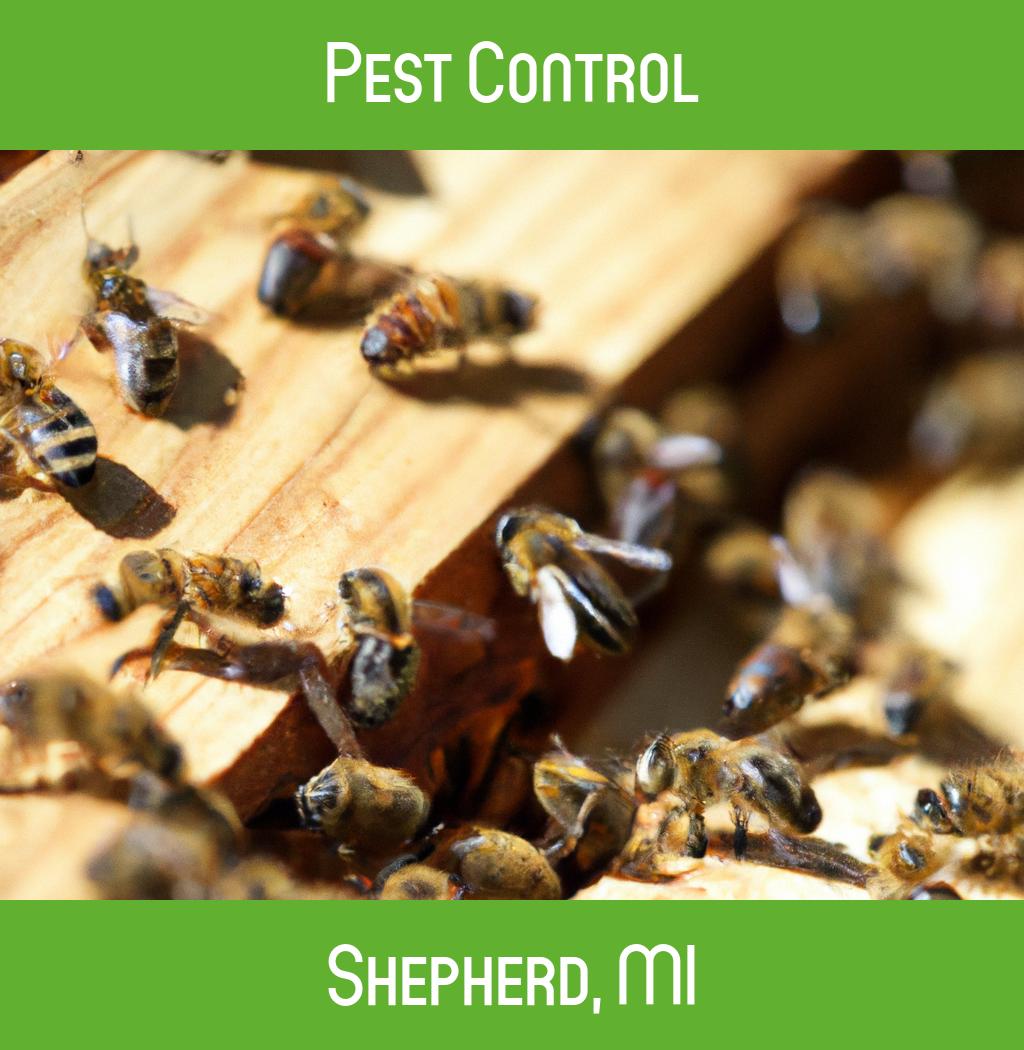 pest control in Shepherd Michigan