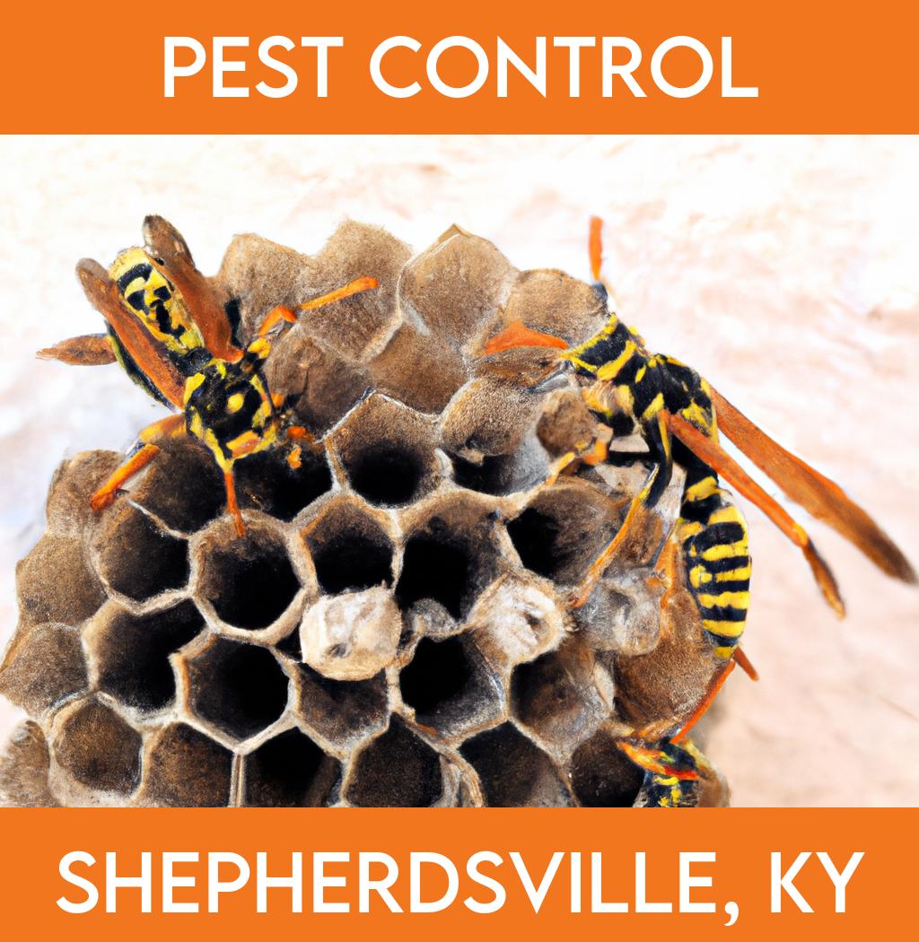 pest control in Shepherdsville Kentucky