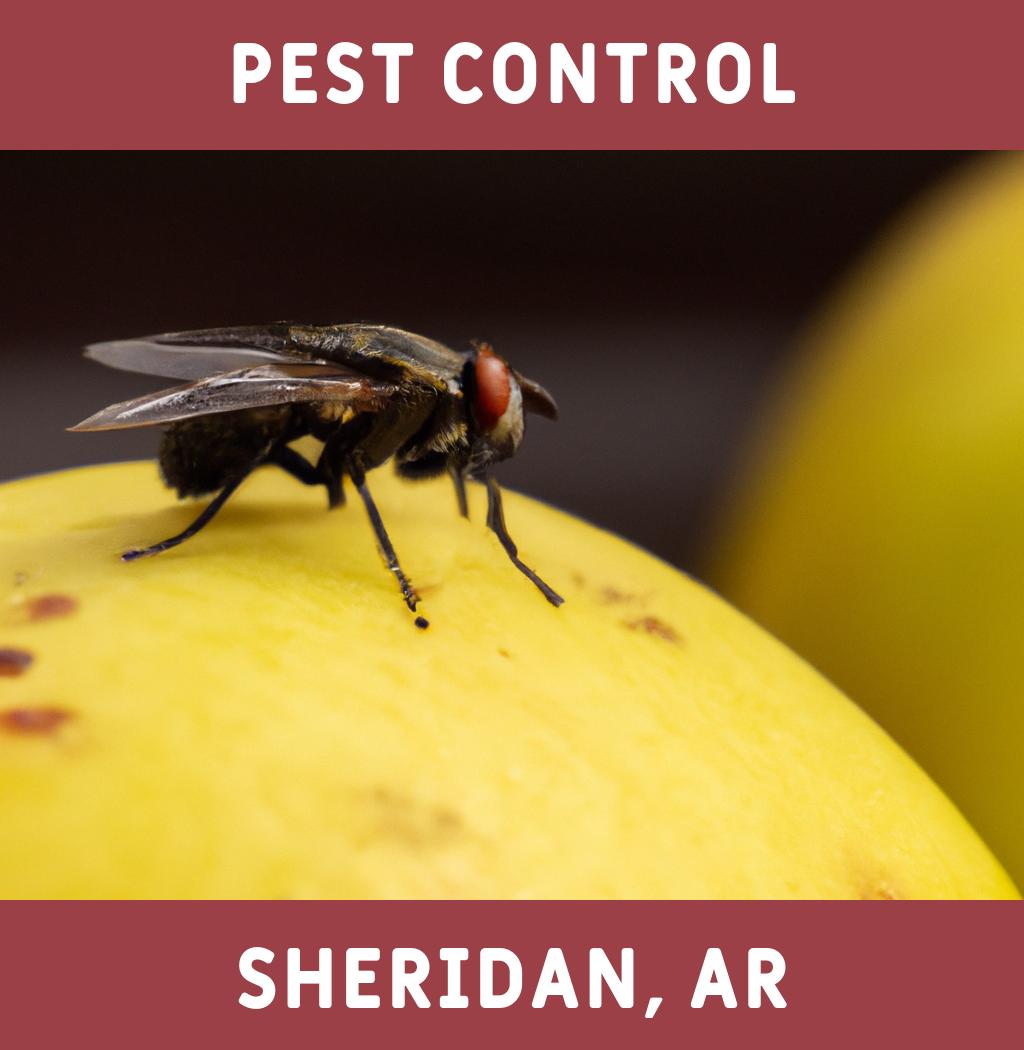 pest control in Sheridan Arkansas