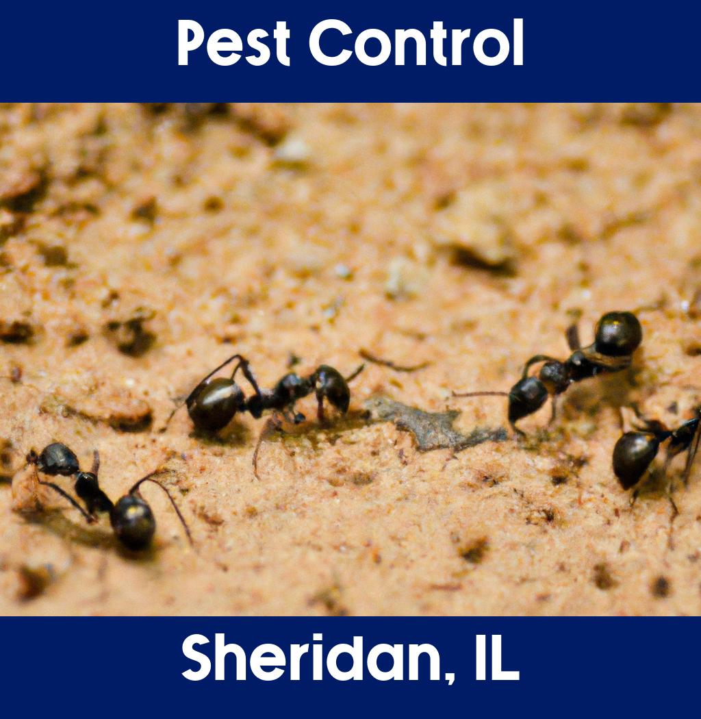pest control in Sheridan Illinois