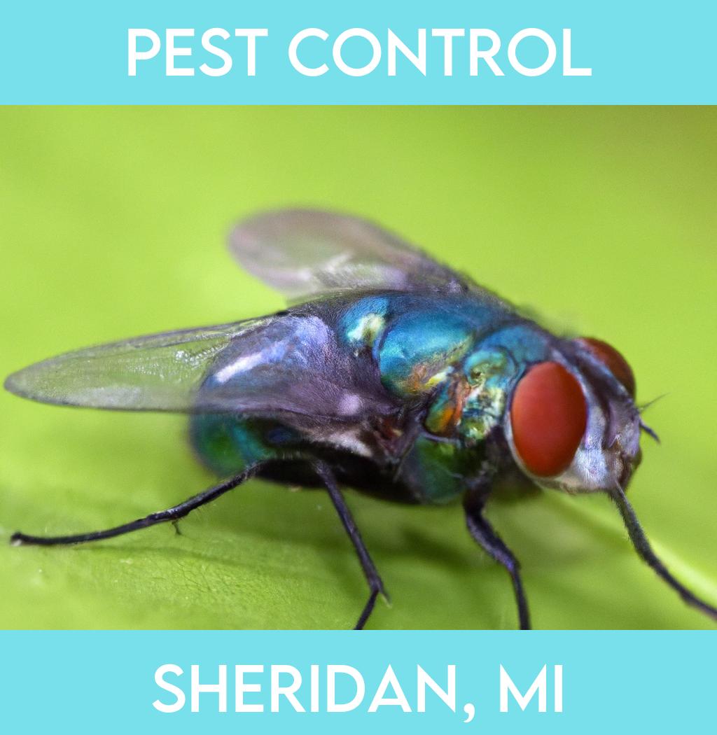 pest control in Sheridan Michigan
