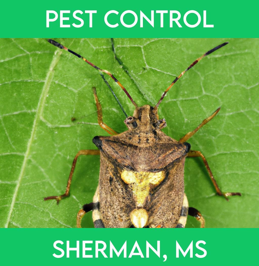 pest control in Sherman Mississippi