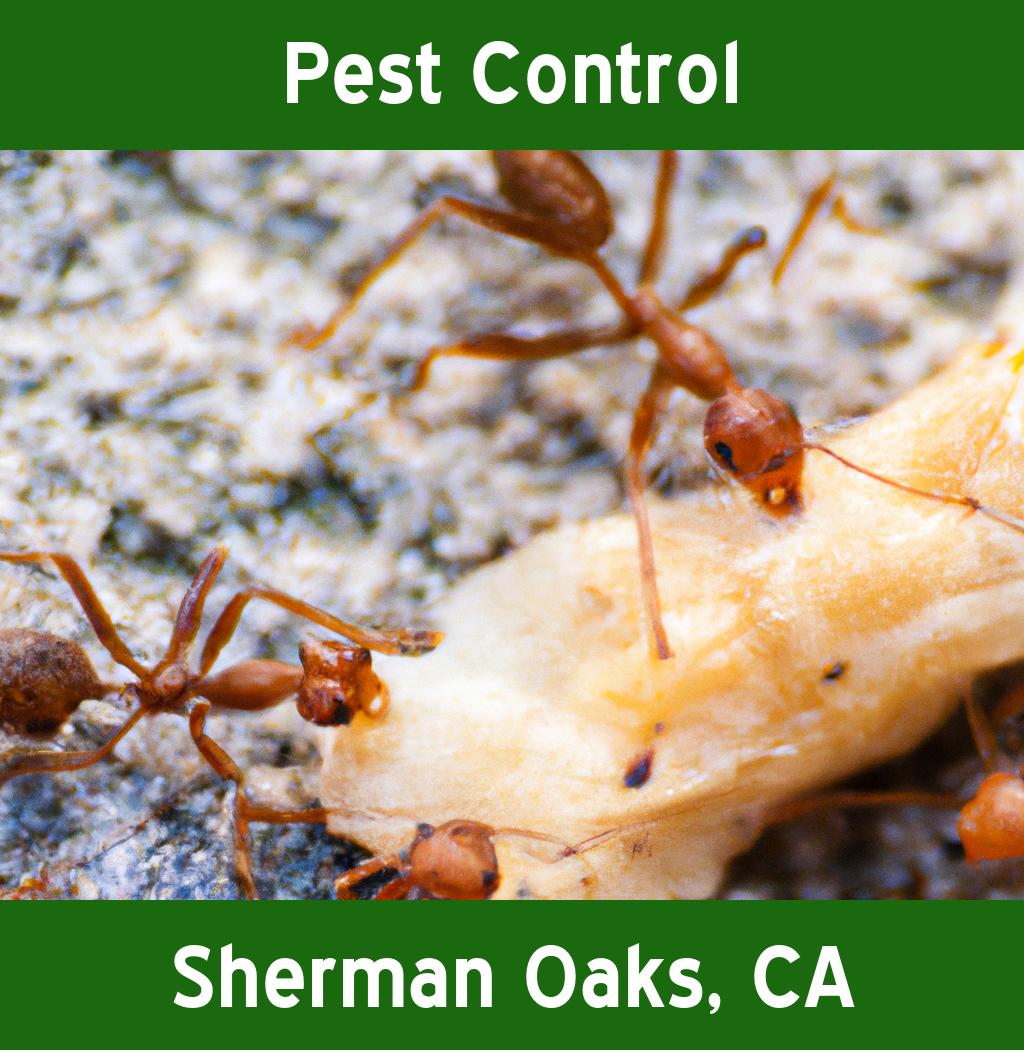 pest control in Sherman Oaks California