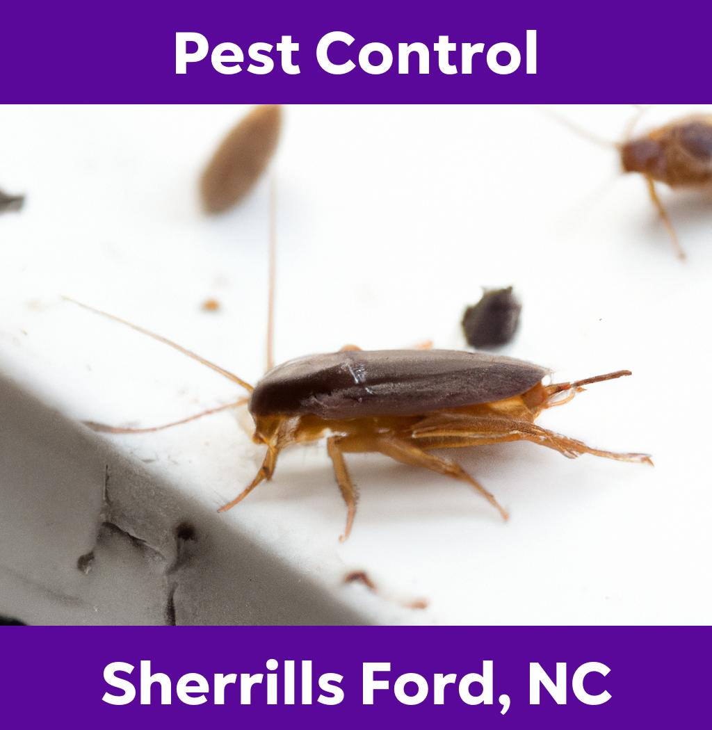 pest control in Sherrills Ford North Carolina