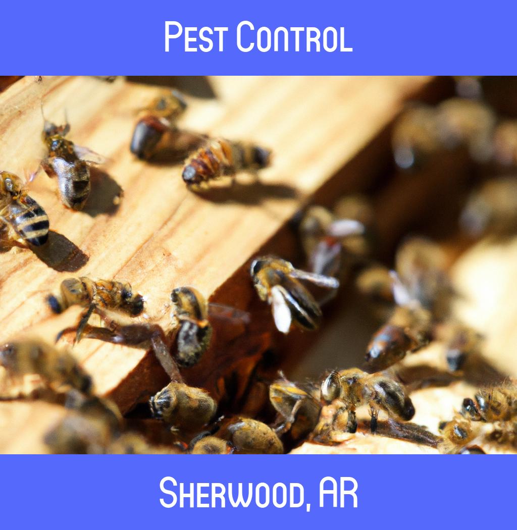 pest control in Sherwood Arkansas
