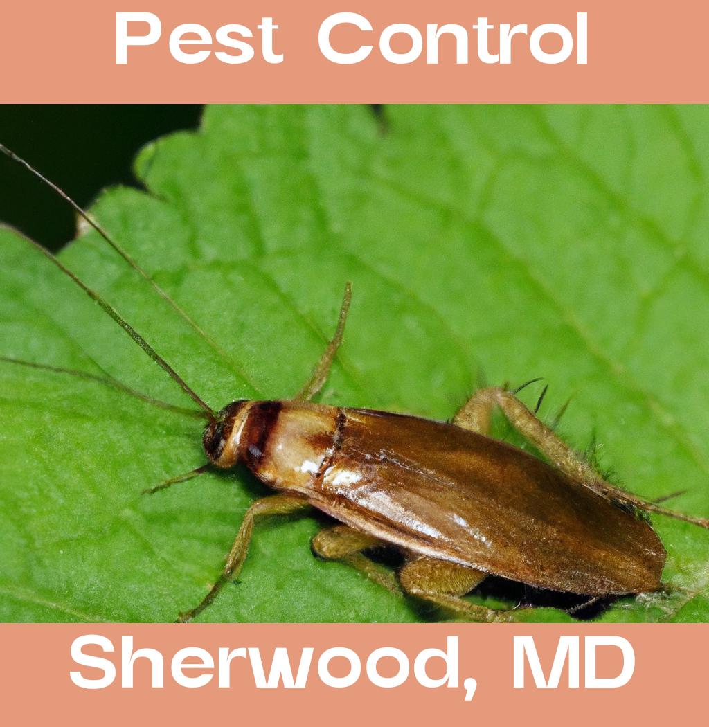 pest control in Sherwood Maryland