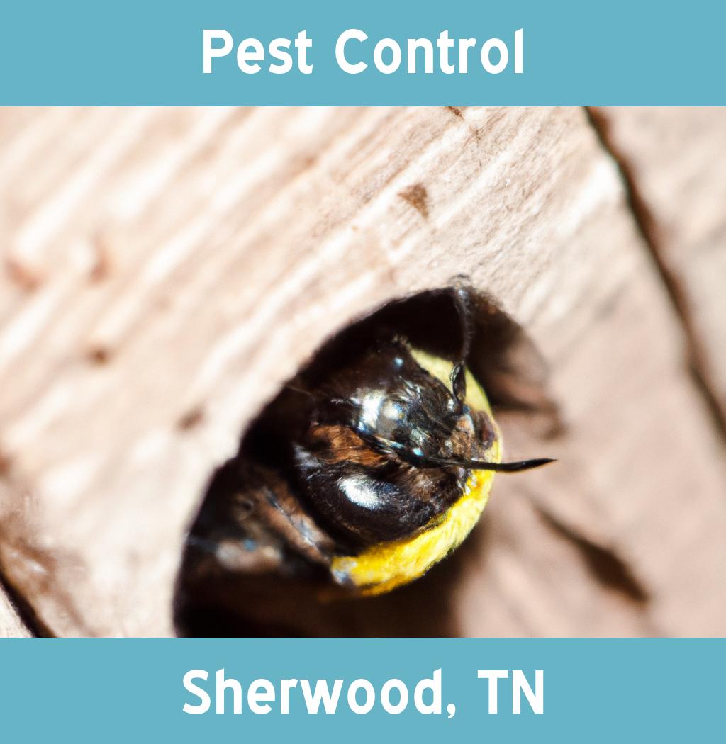 pest control in Sherwood Tennessee