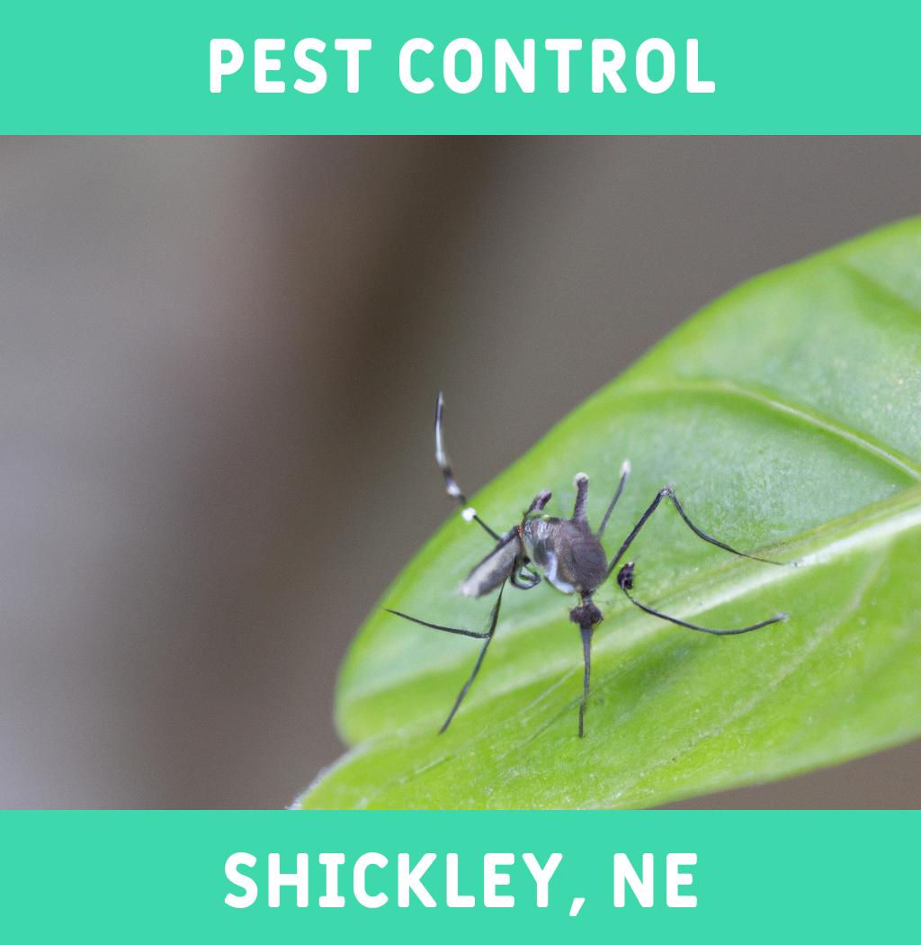 pest control in Shickley Nebraska