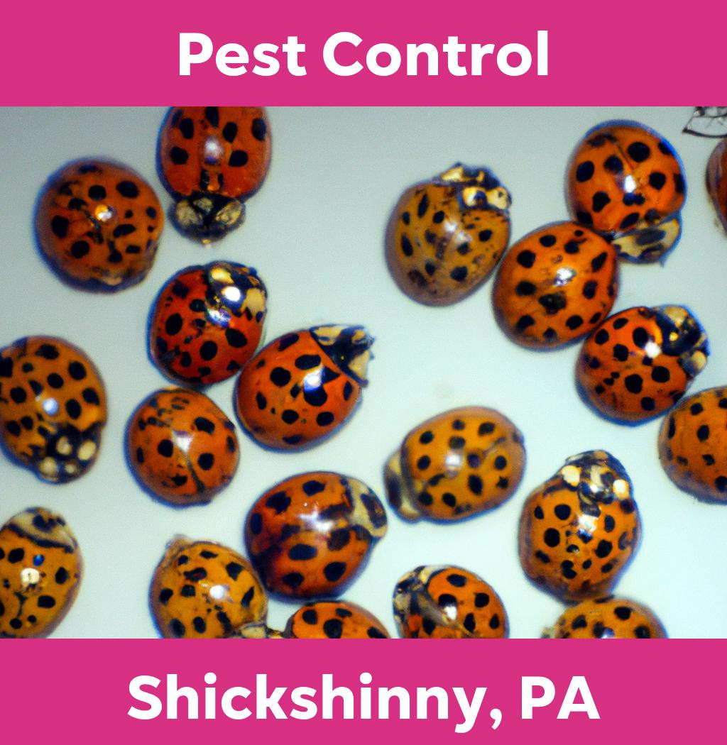 pest control in Shickshinny Pennsylvania