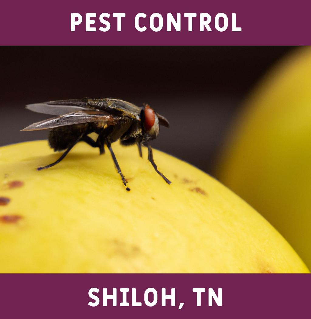pest control in Shiloh Tennessee