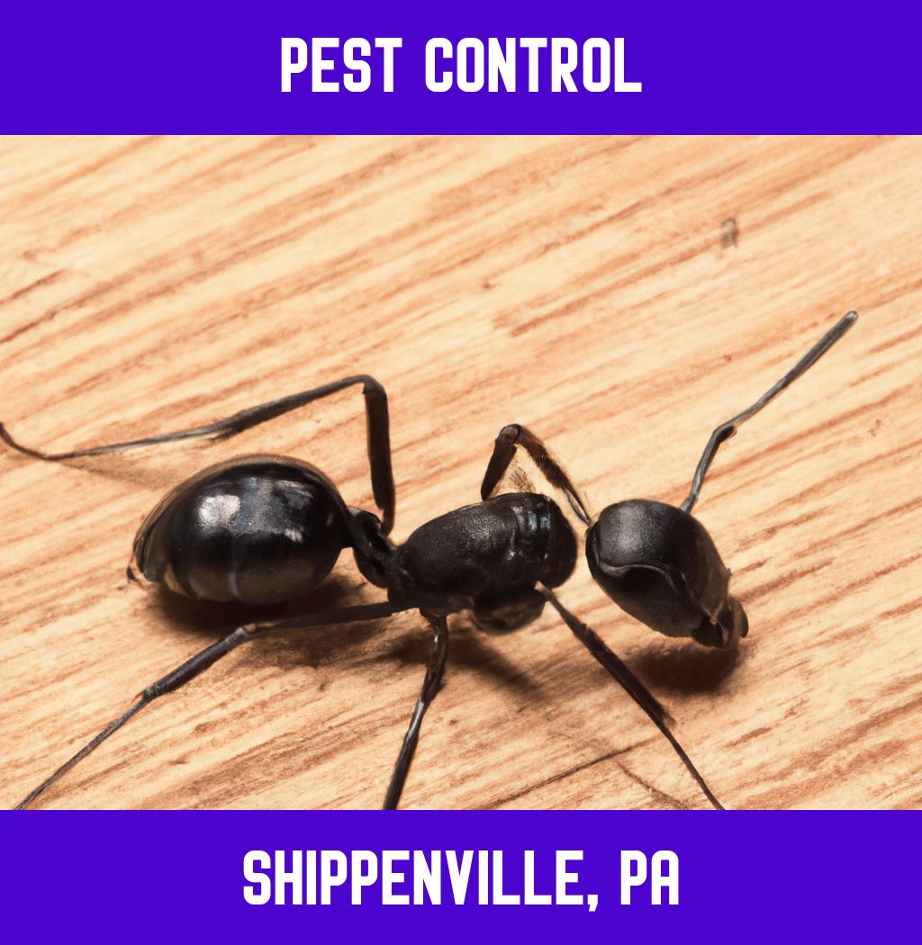 pest control in Shippenville Pennsylvania