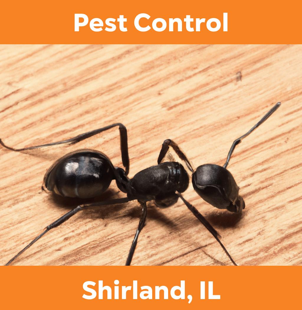 pest control in Shirland Illinois
