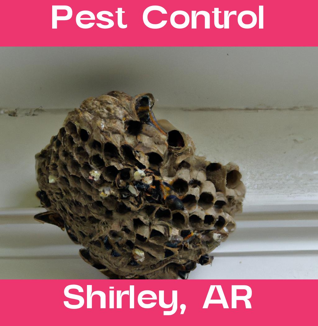 pest control in Shirley Arkansas