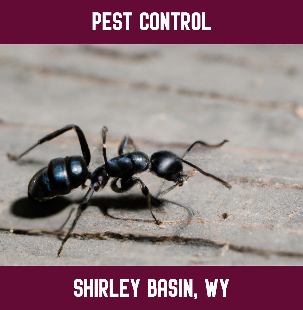 pest control in Shirley Basin Wyoming