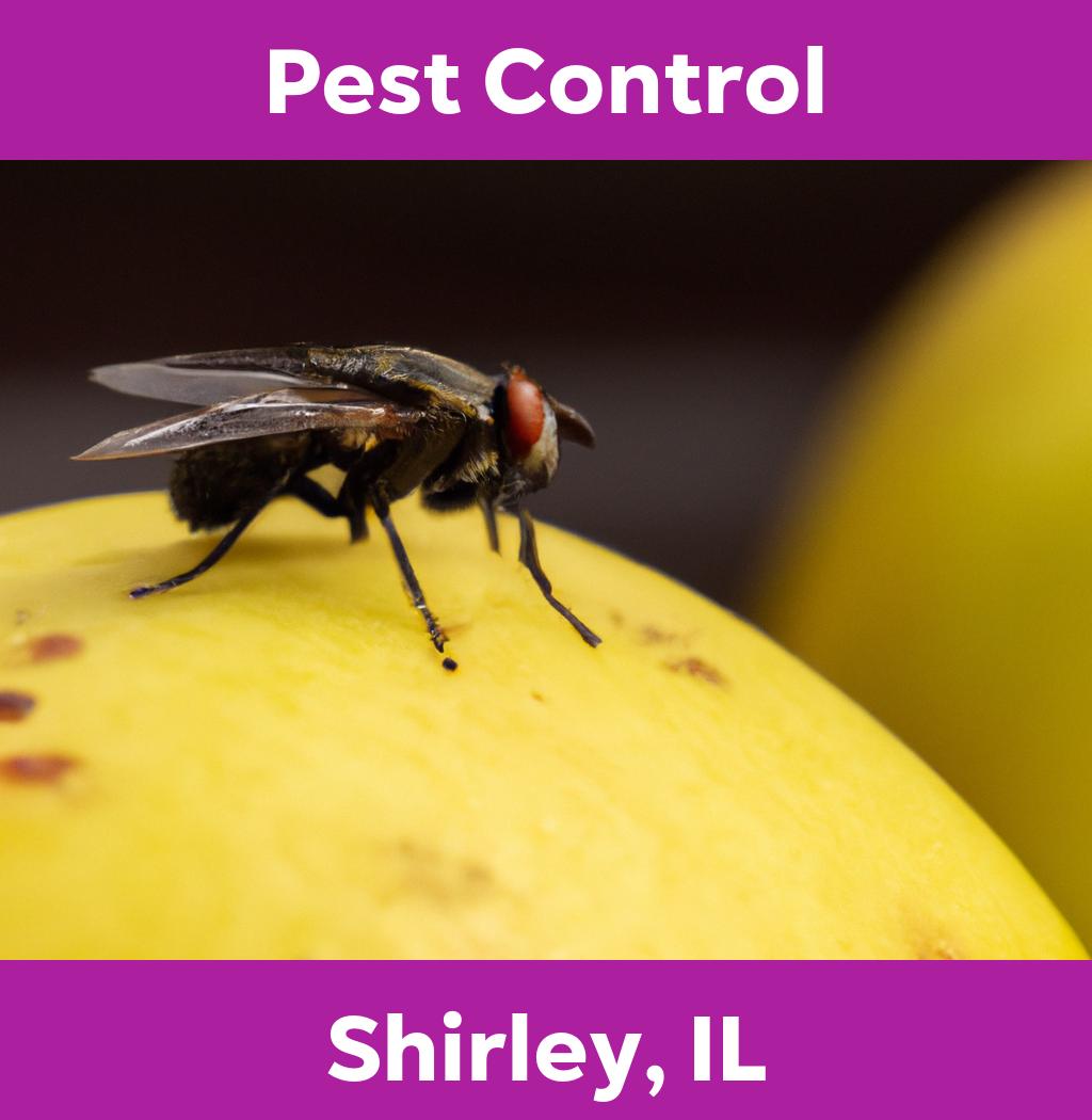 pest control in Shirley Illinois