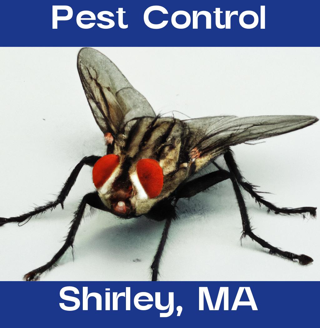 pest control in Shirley Massachusetts