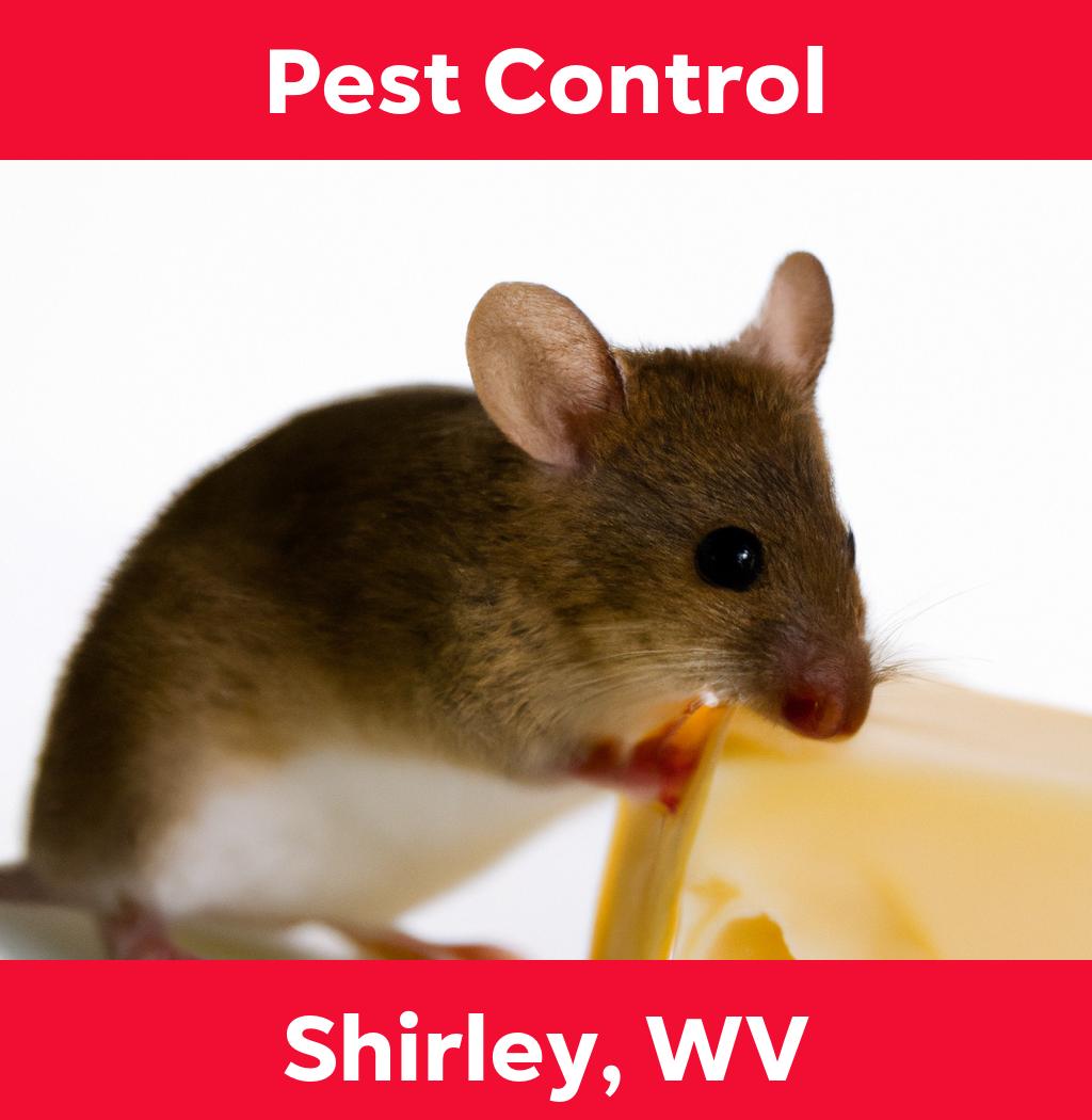 pest control in Shirley West Virginia