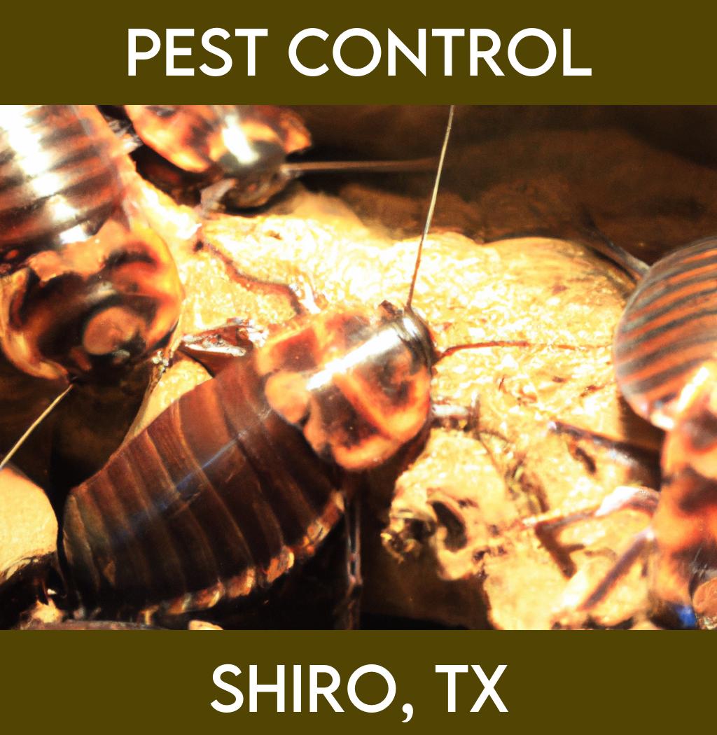 pest control in Shiro Texas