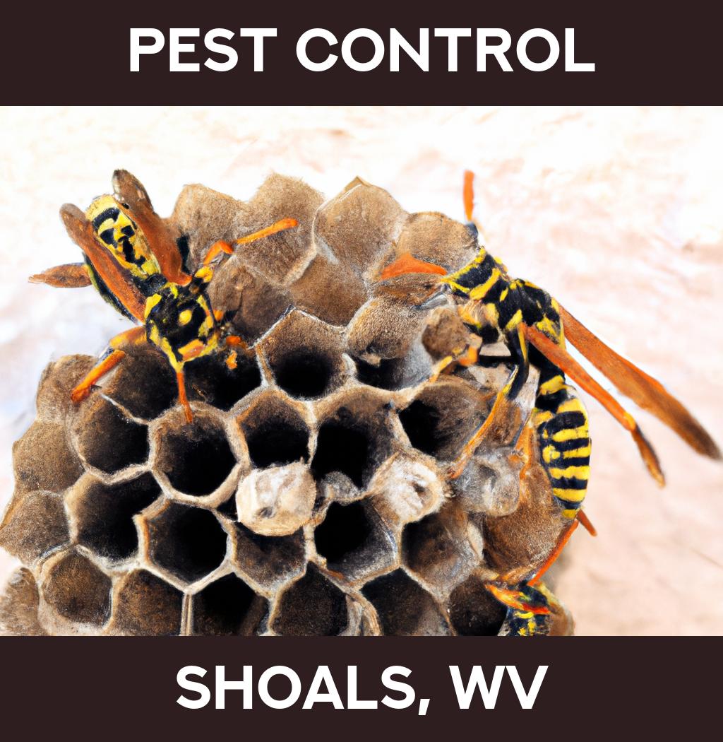 pest control in Shoals West Virginia