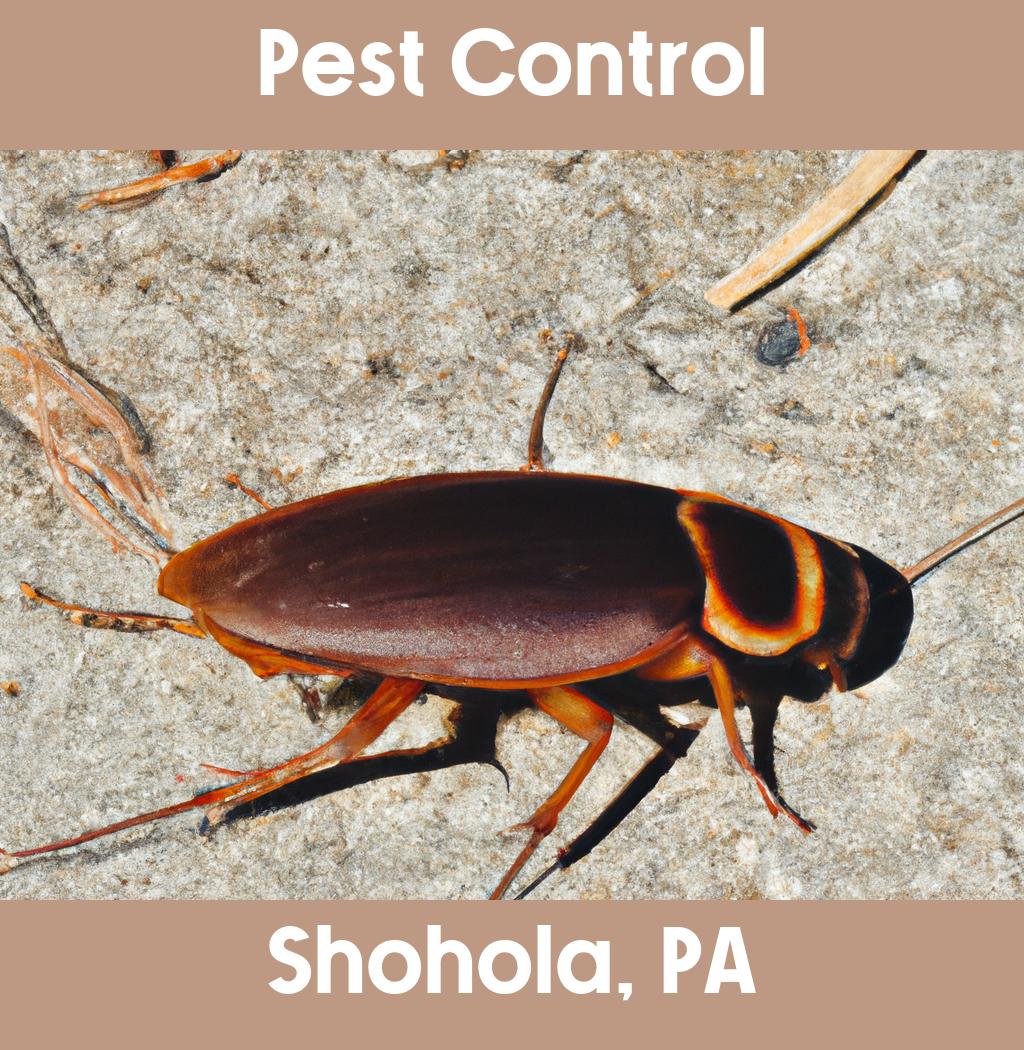 pest control in Shohola Pennsylvania