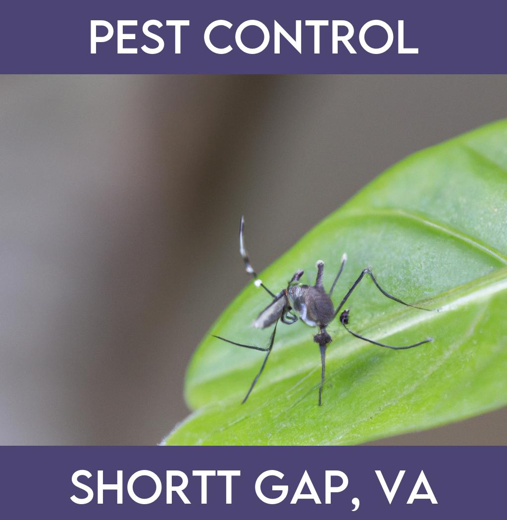 pest control in Shortt Gap Virginia