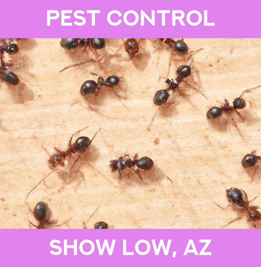 pest control in Show Low Arizona