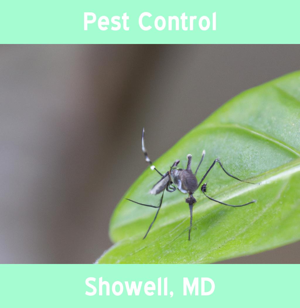 pest control in Showell Maryland