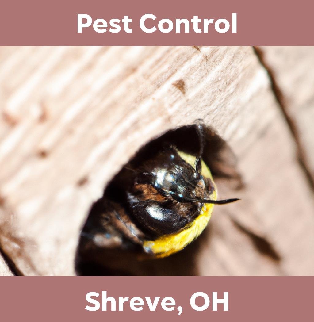 pest control in Shreve Ohio