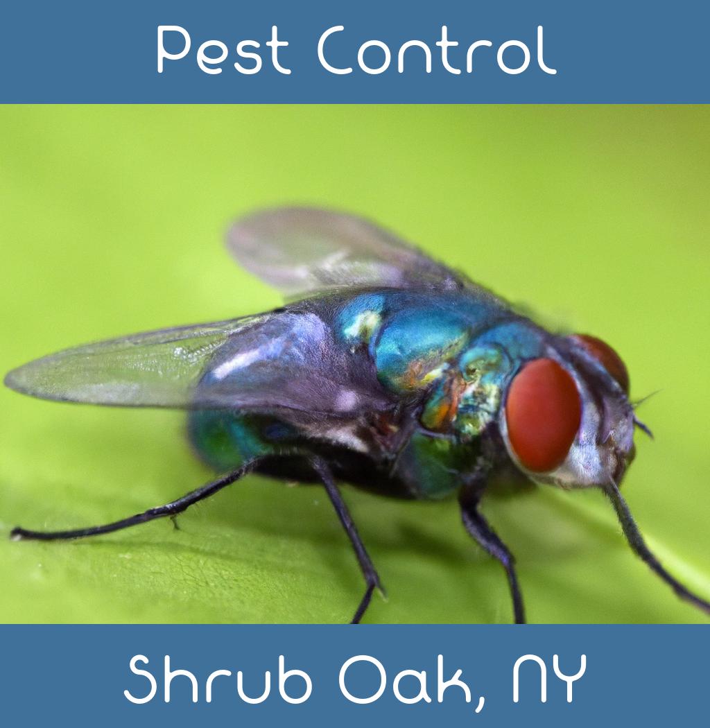 pest control in Shrub Oak New York