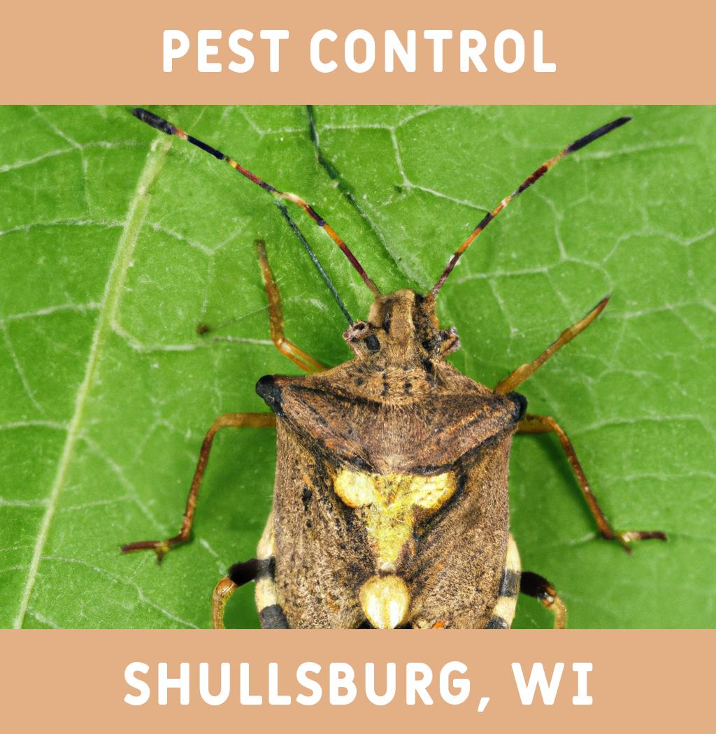pest control in Shullsburg Wisconsin