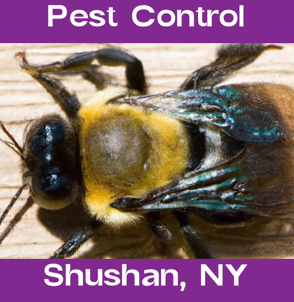 pest control in Shushan New York