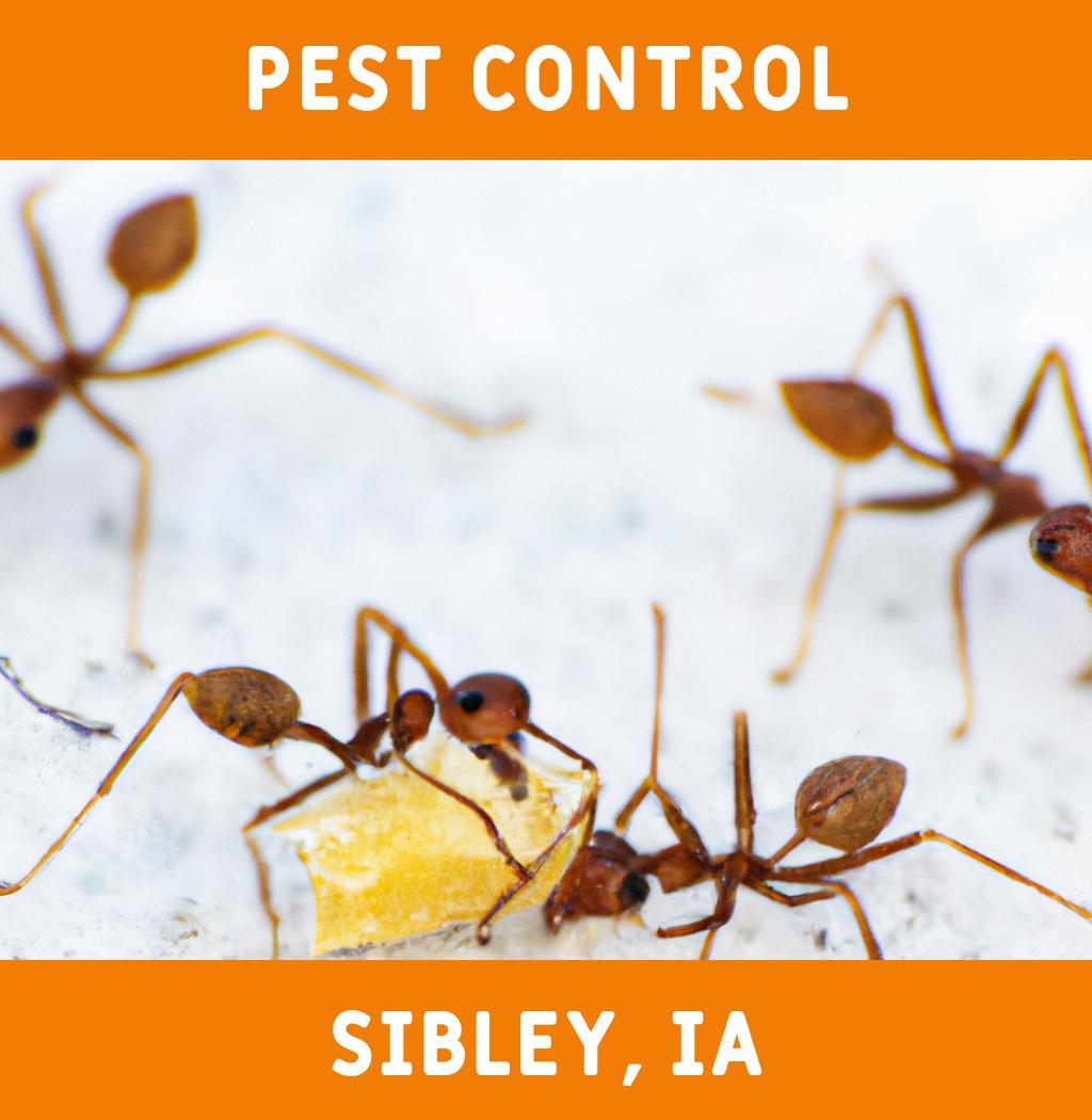 pest control in Sibley Iowa