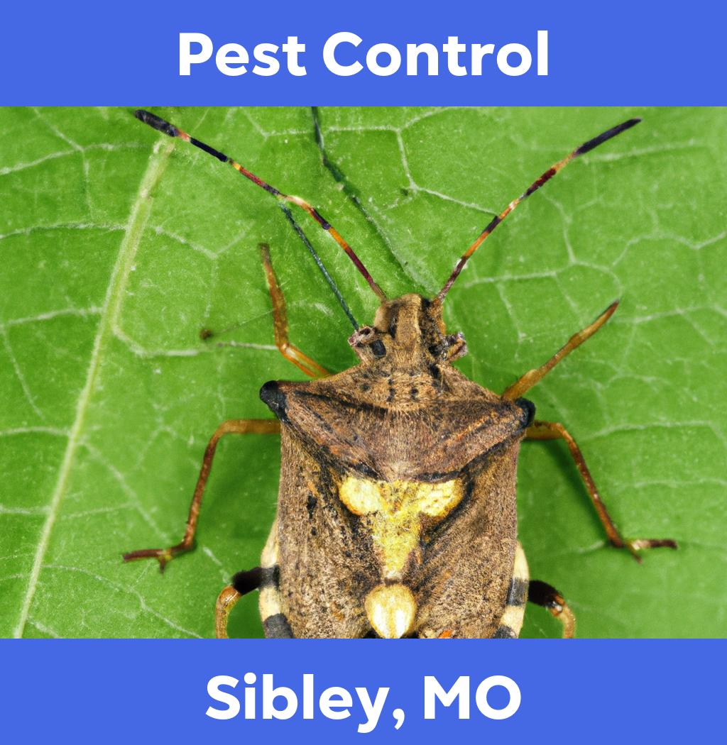 pest control in Sibley Missouri