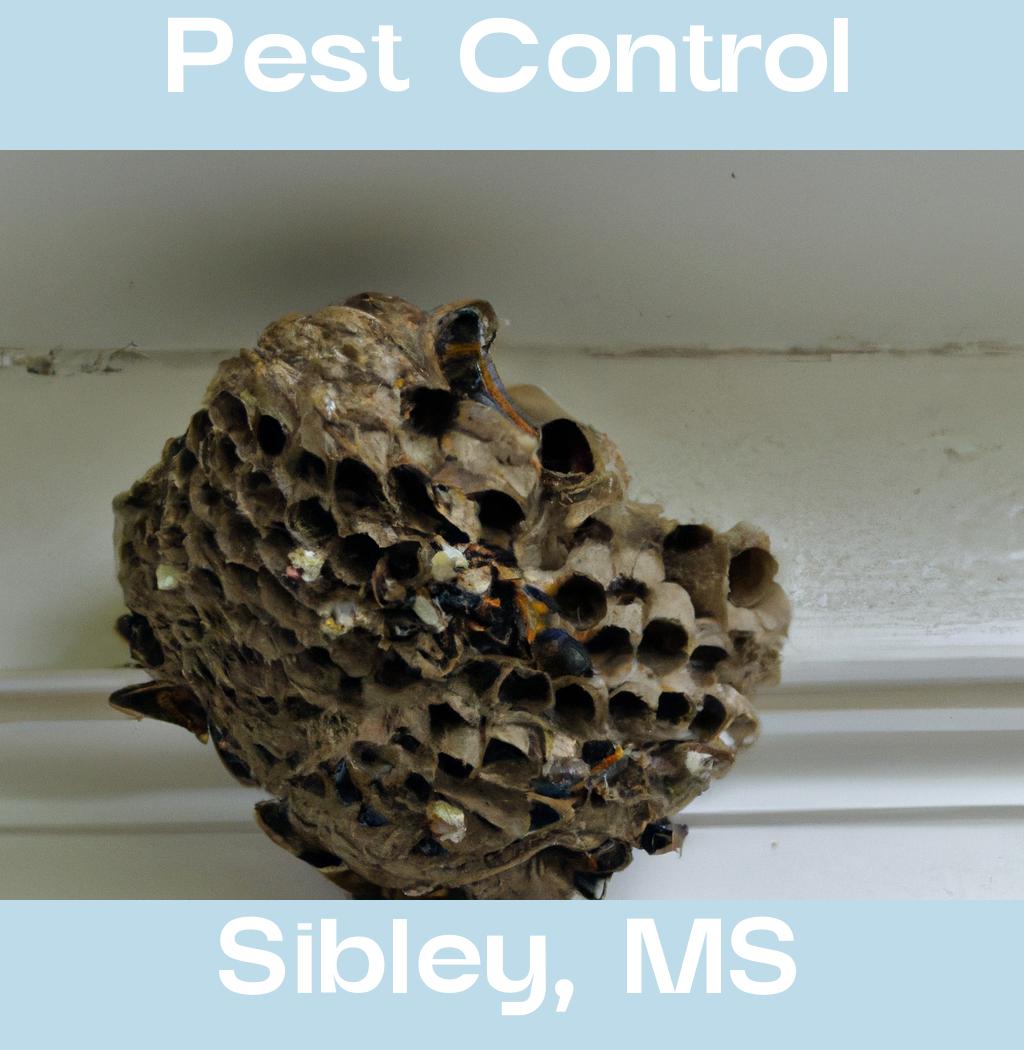 pest control in Sibley Mississippi