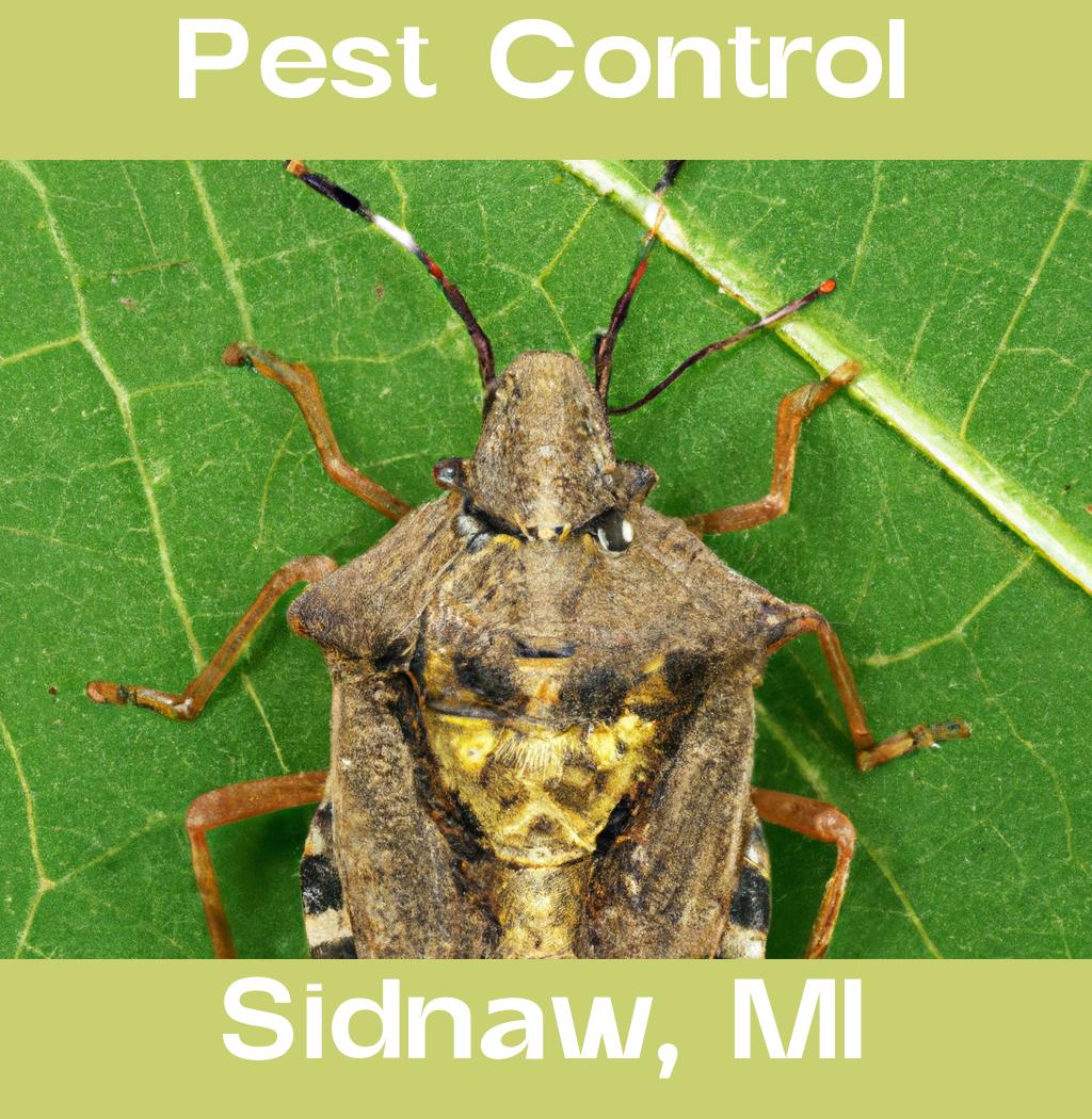 pest control in Sidnaw Michigan