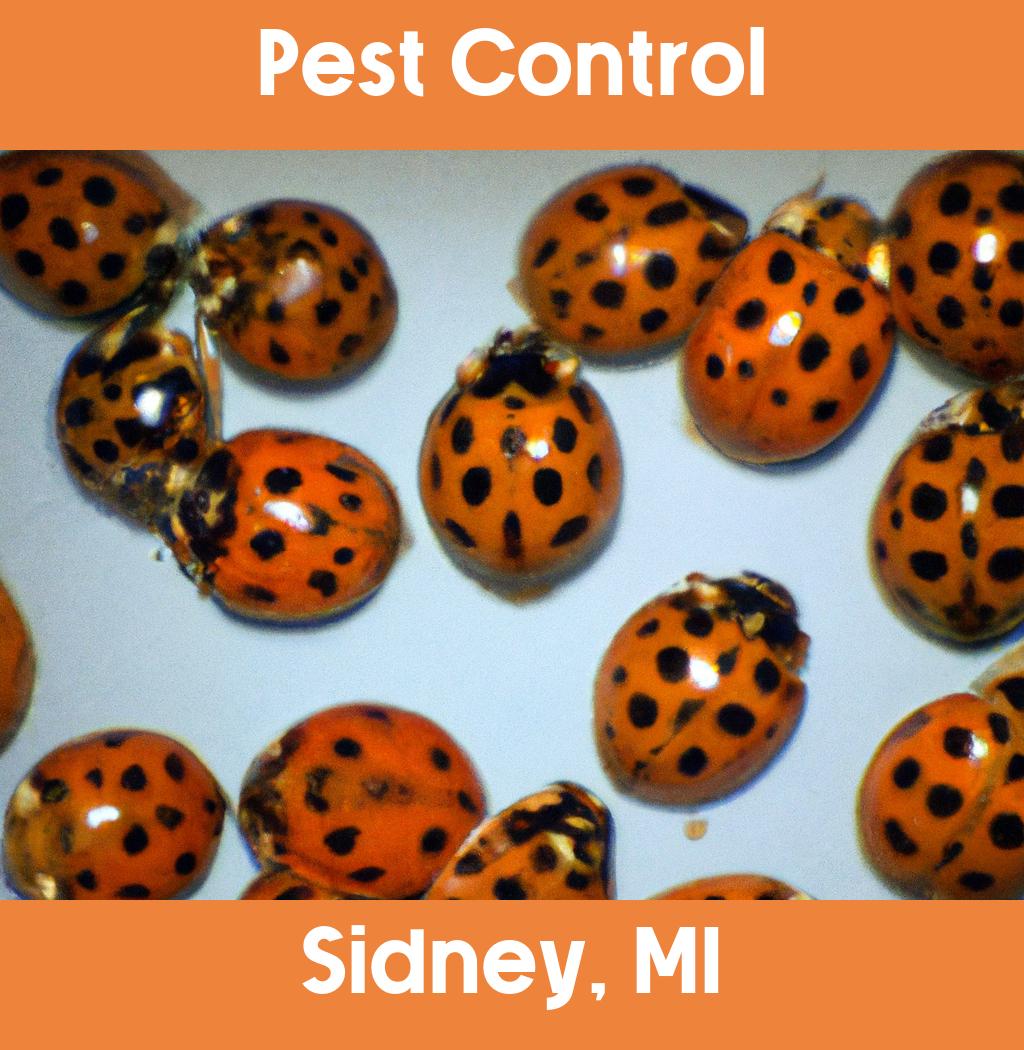 pest control in Sidney Michigan