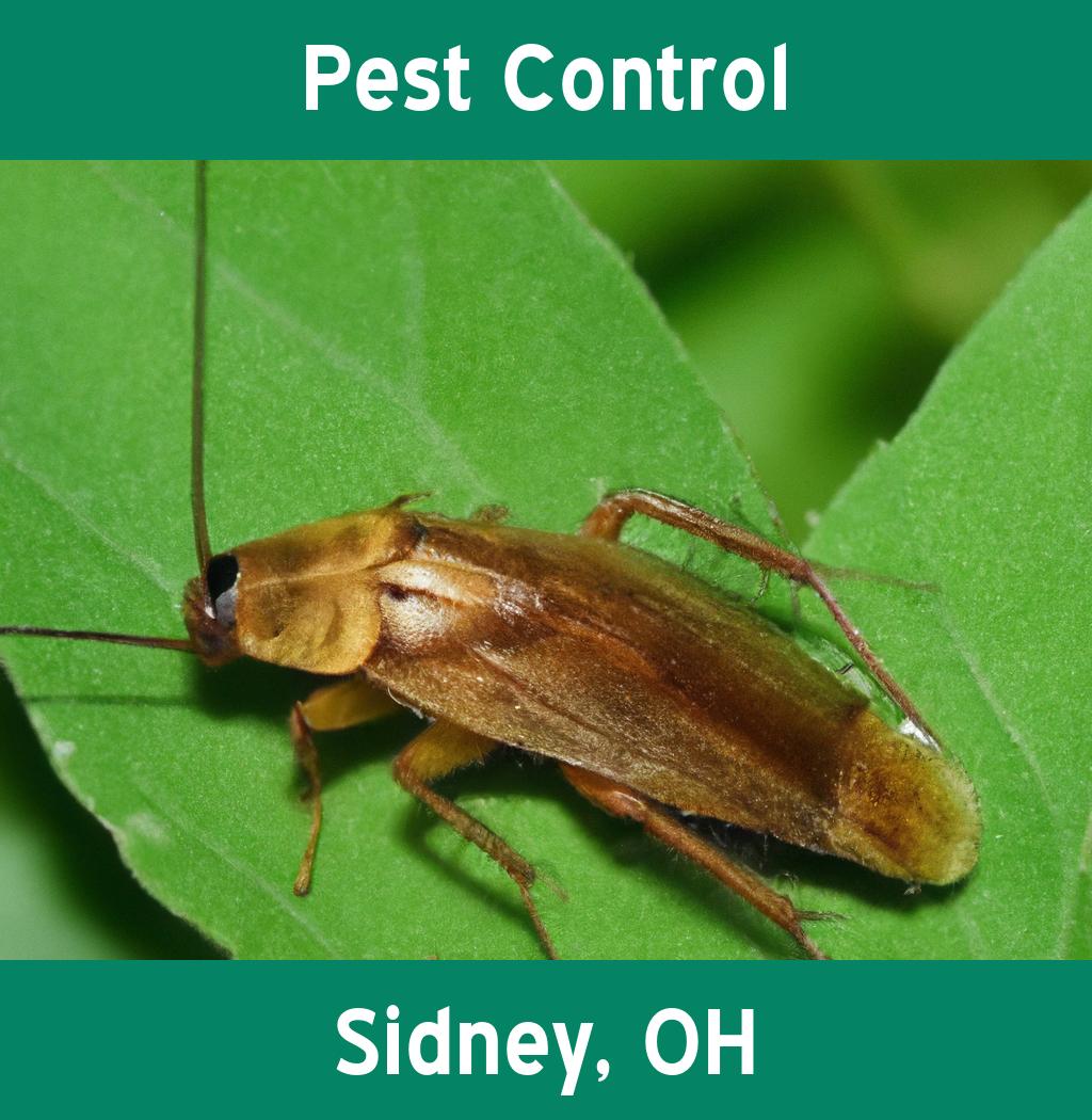 pest control in Sidney Ohio
