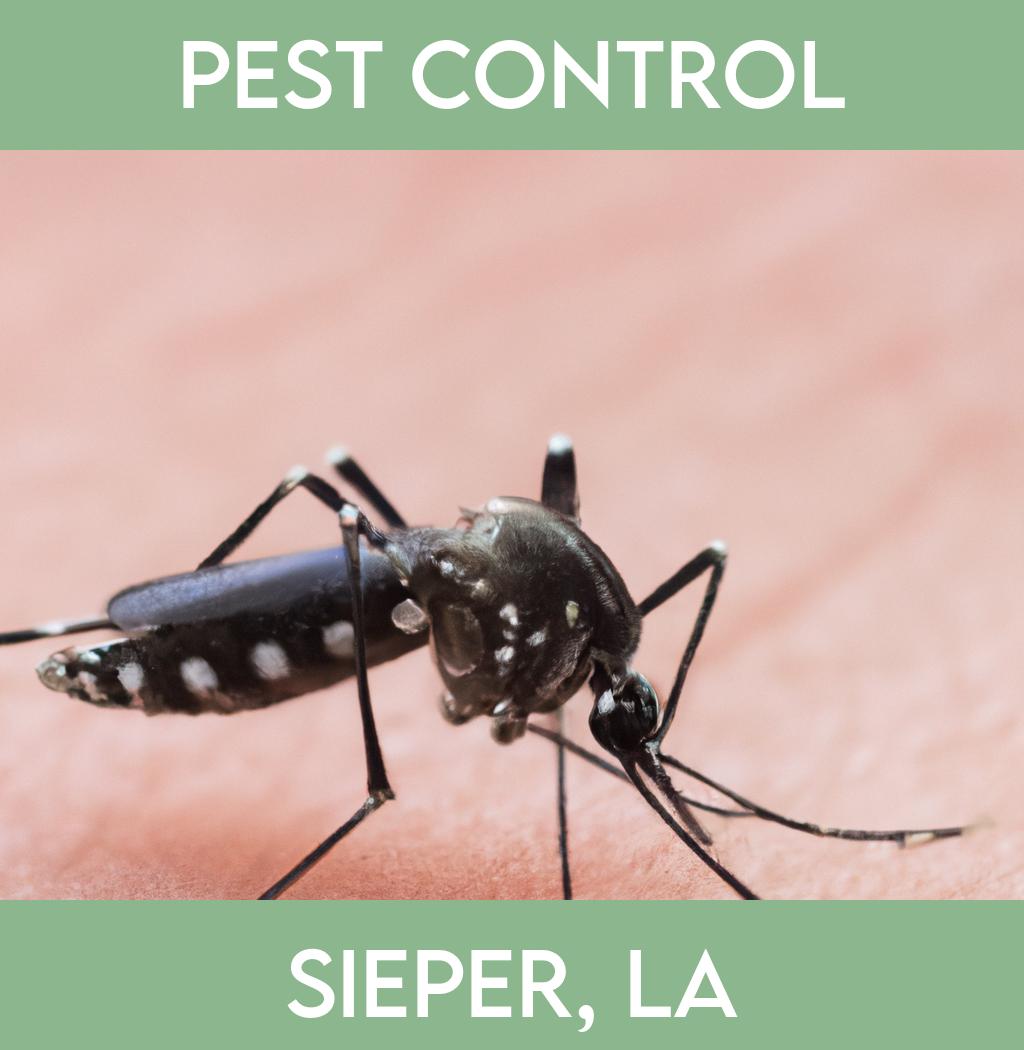 pest control in Sieper Louisiana