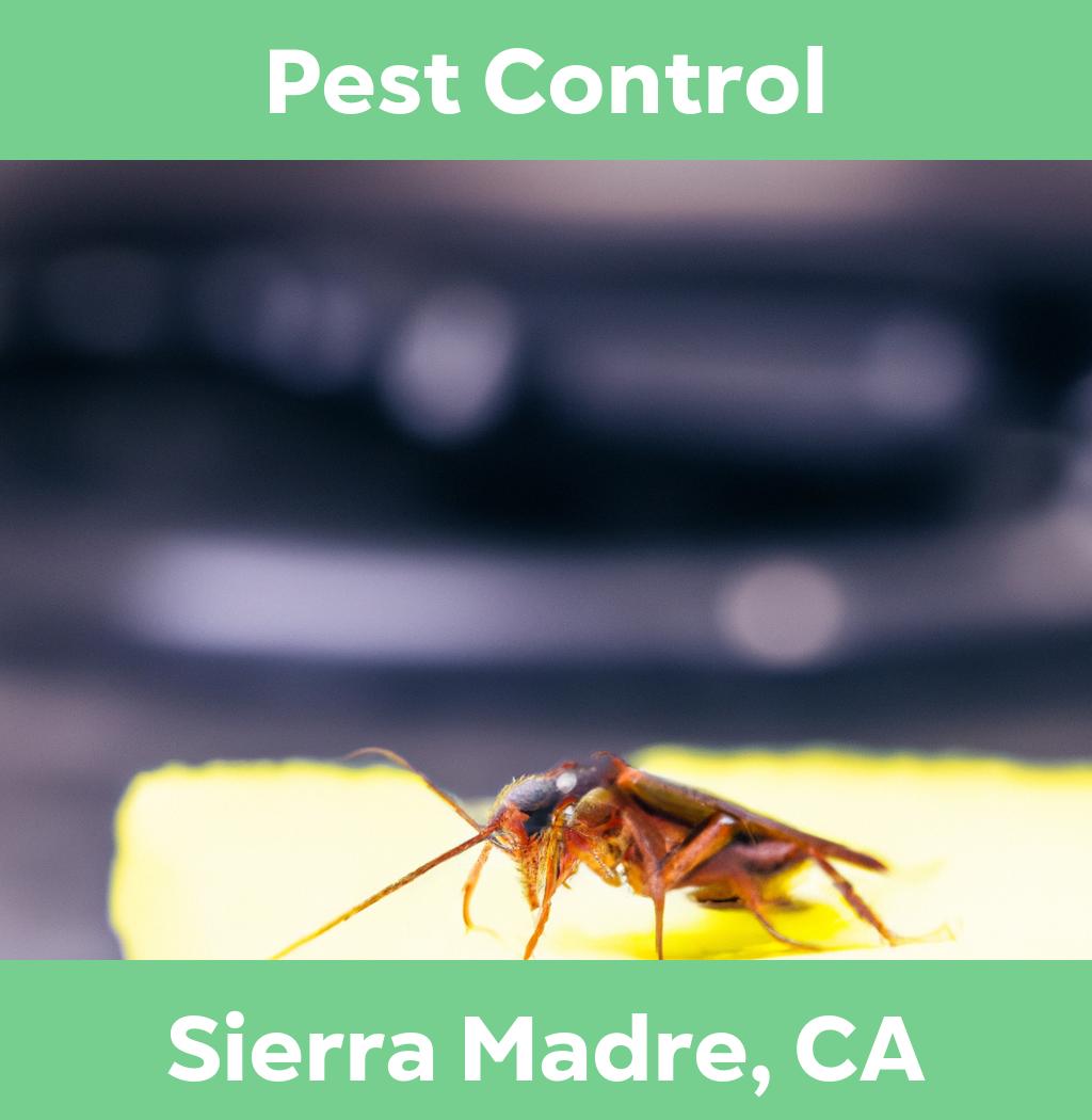 pest control in Sierra Madre California