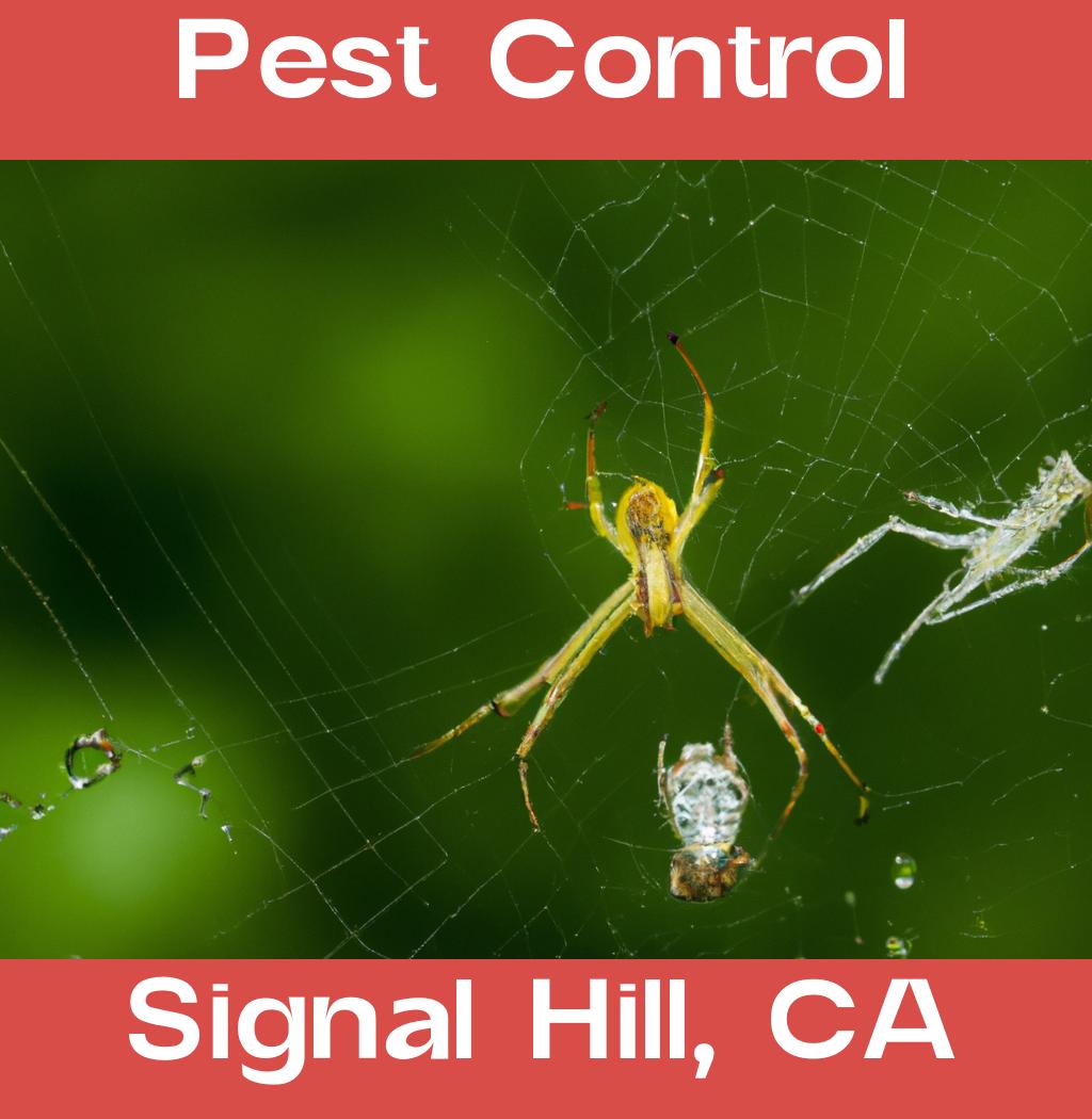 pest control in Signal Hill California