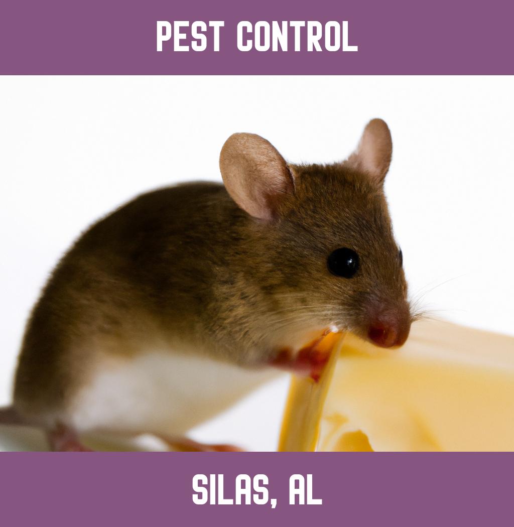 pest control in Silas Alabama