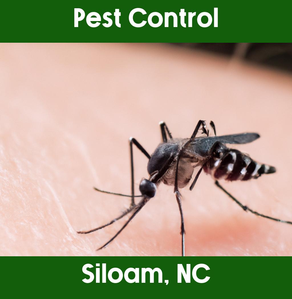 pest control in Siloam North Carolina